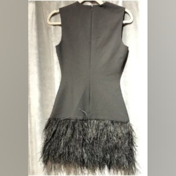 Elizabeth and James Feather Dress, Size 2, Black - Picture 2 of 4